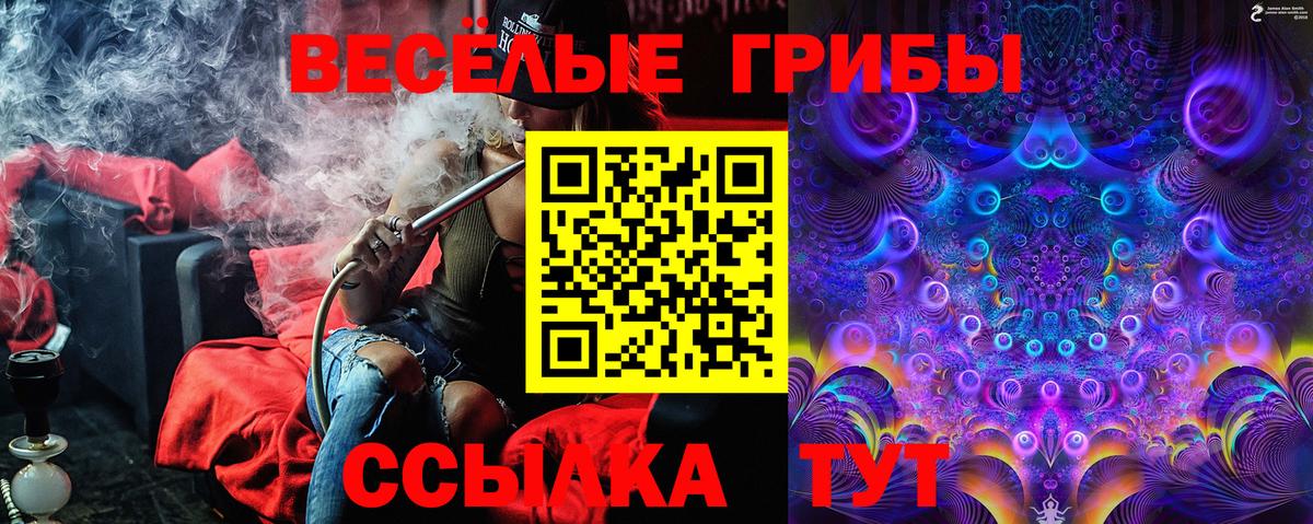 Галлюциногенные грибы GOLDEN TEACHER Котовск