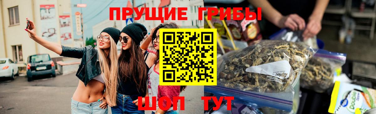 Псилоцибиновые грибы Psilocybe  Вход с VPN  Котовск 
